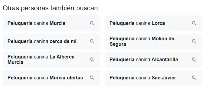 Búsquedas relacionadas de peluquería canina en Google Maps