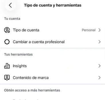 Opción Cambiar a cuenta profesional dentro de Tipo de cuenta y herramientas en Instagram