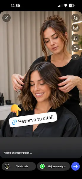 Pegar el enlace de reservas en el campo Sitio web de Instagram