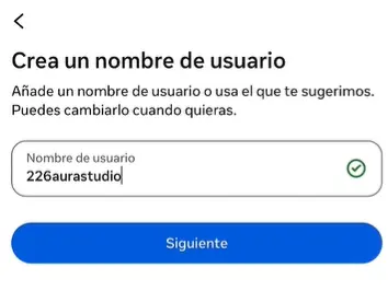 Campo para crear el nombre de usuario de la cuenta de empresa en Instagram