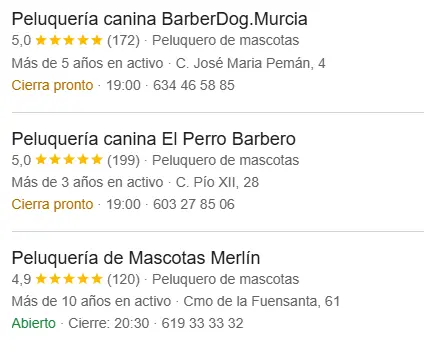Optimizar nombre google maps peluqueria canina